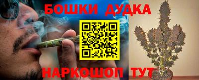 бошки Дубна