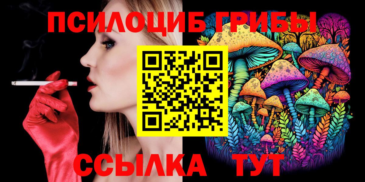 Карачаевск  Псилоцибиновые грибы Magic Shrooms  Псилоцибиновые грибы Psilocybine cubensis  купить наркотик  Вход с VPN 