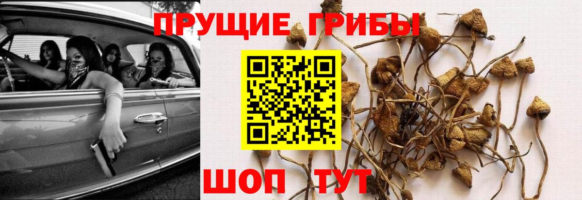 Псилоцибиновые грибы ЛСД Карачаевск